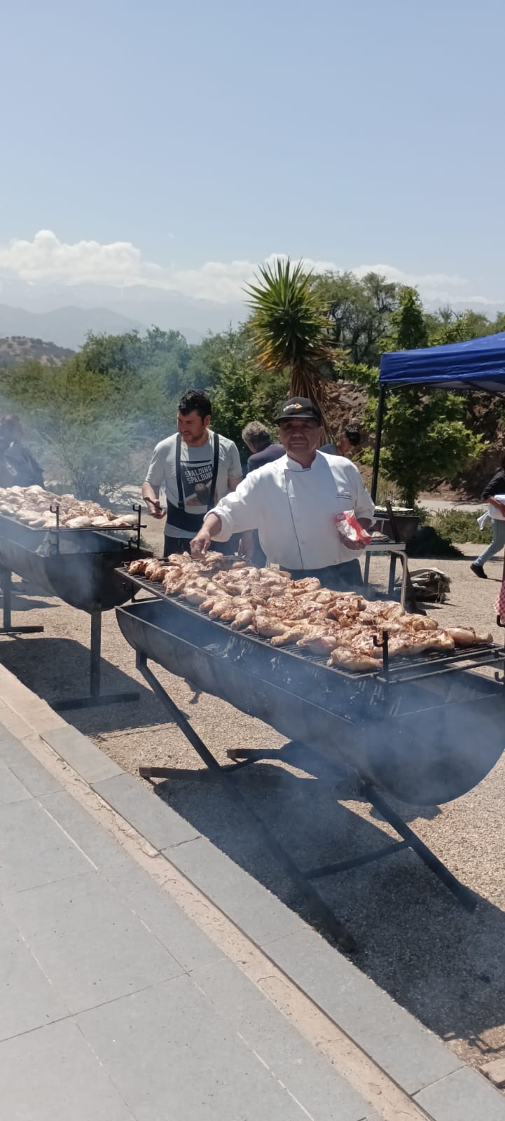 Pollos enteros o trozados a la parrilla