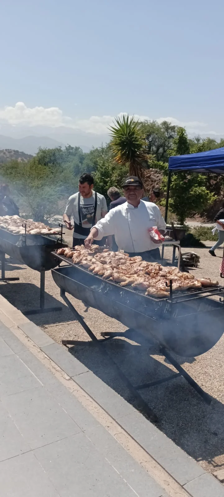 Pollos enteros o trozados a la parrilla